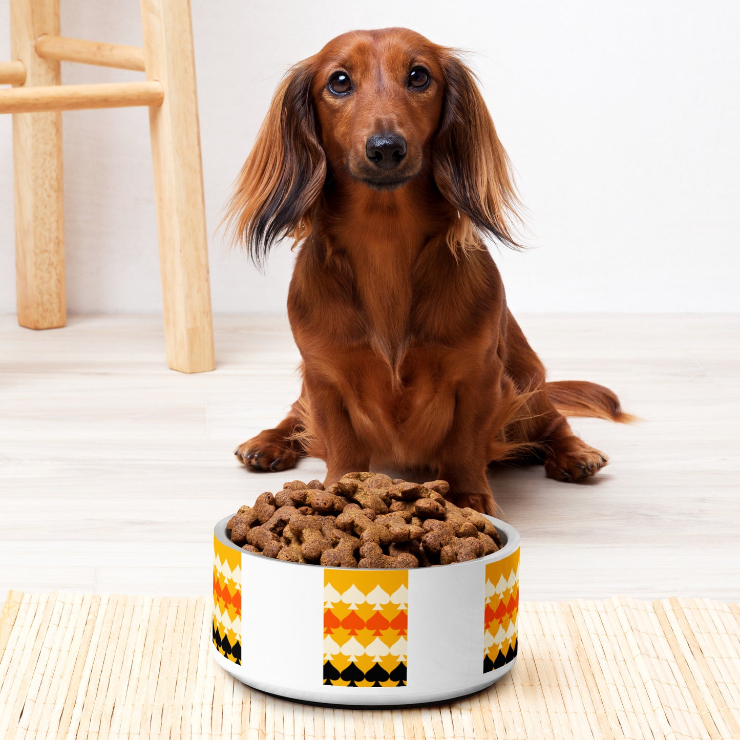 Unique Pet bowl